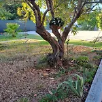 Hacienda Murter