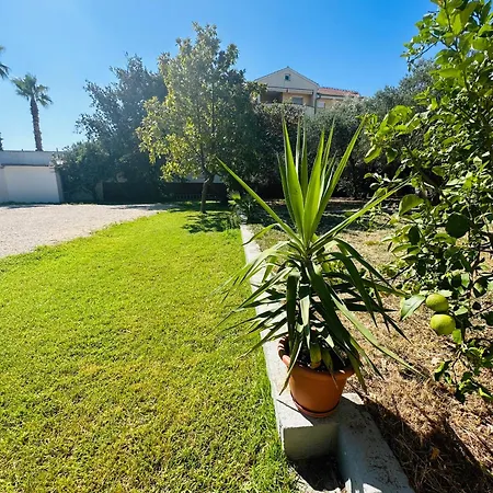 فيلة Hacienda مورتير