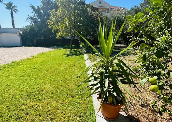 ヴィラ Hacienda ムルテル