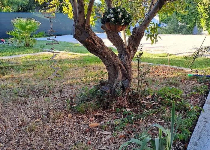 Hacienda ムルテル